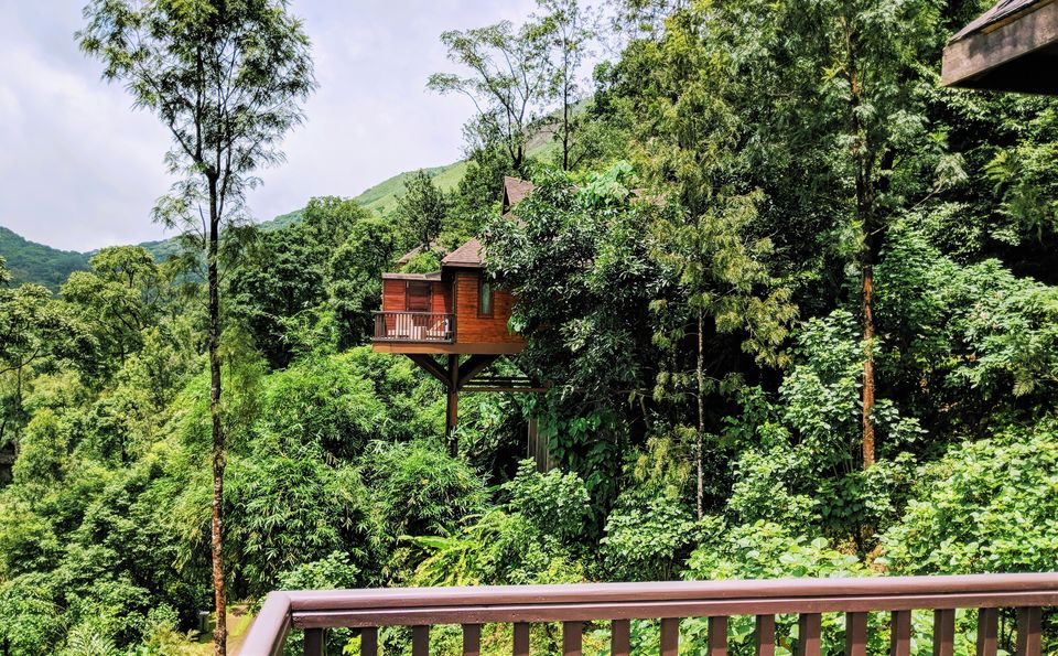 Photo of Coorg, Karnataka, India by Renegade Runaways