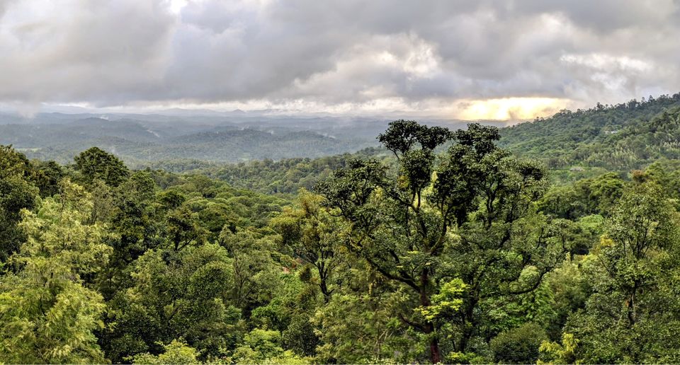 Photo of Coorginess of Coorg- like never before- 3 day Itinerary from Bangalore 1/2 by Renegade Runaways