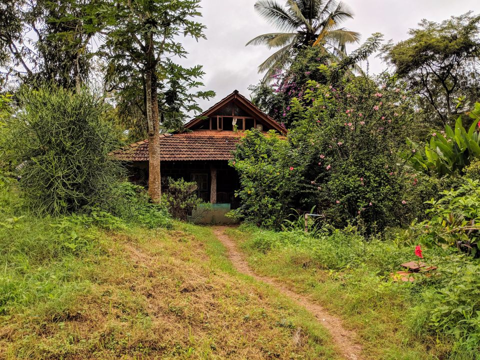 Photo of Coorginess of Coorg- like never before- 3 day Itinerary from Bangalore by Renegade Runaways