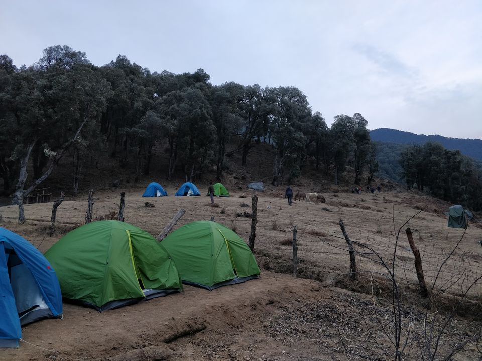 Photo of How it feels in first trek as trek leader 4/7 by HARISH SINGH BISHT