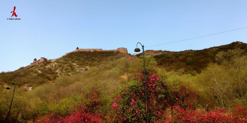 Photo of Colors of Rajasthan.. Jaipur-Ajmer-Pushkar 8/15 by Hajira Akram
