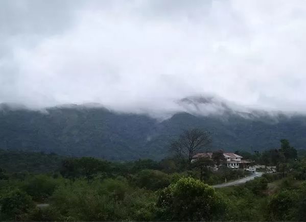 Photo of Why I chose Coorg over Ooty? 1/4 by Vineet Pal Singh