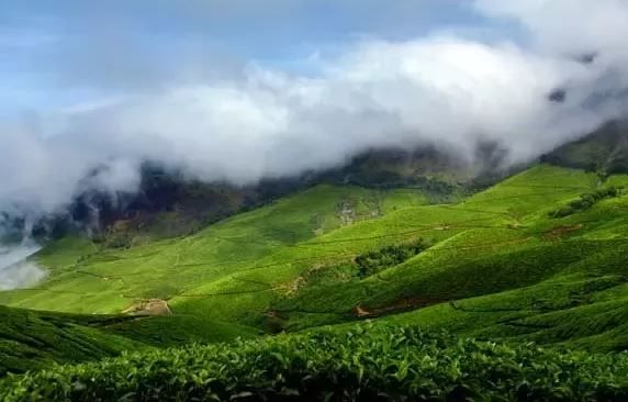 Photo of Why I chose Coorg over Ooty? 4/4 by Vineet Pal Singh