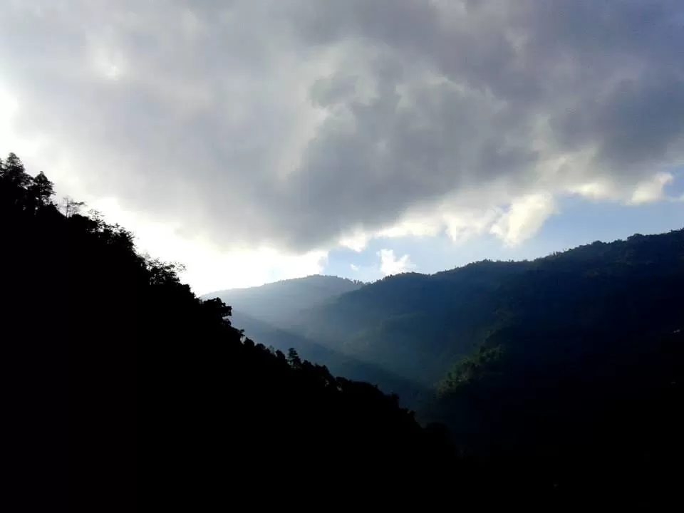 Photo of Neora Valley National Park, Darjeeling, West Bengal, India by Arpit Shah