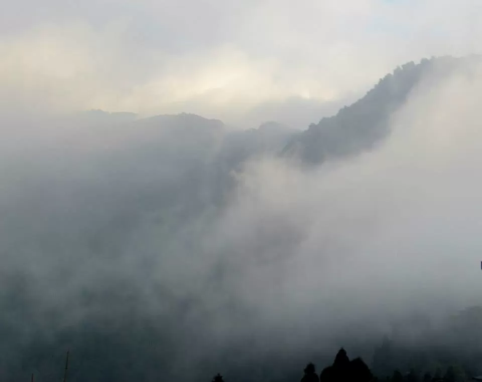 Photo of Lava, West Bengal, India by Arpit Shah
