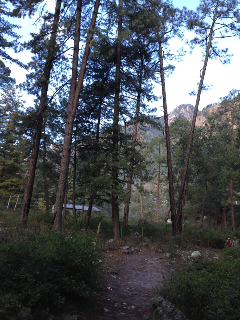 Photo of Parvati Valley Solo Backpacking Experience 7/55 by Shubrashankh Chatterjee