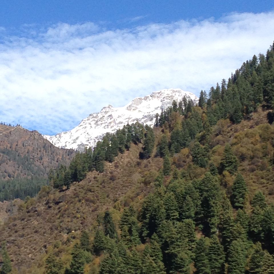 Photo of Parvati Valley Solo Backpacking Experience 23/55 by Shubrashankh Chatterjee