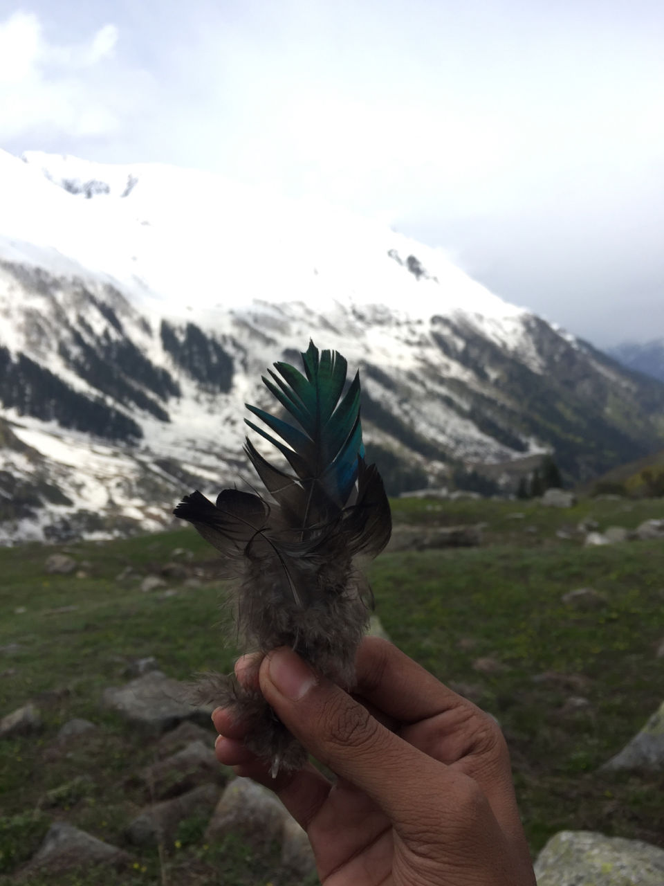 Photo of Dev Roopa Trek Expedition 2019-Heaven Of Himalaya by Nachiket Parchure