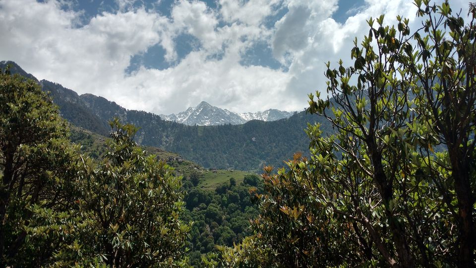 Photo of Mountains are calling you: Escape to McLeodGanj|Triund by Sambhav Jain