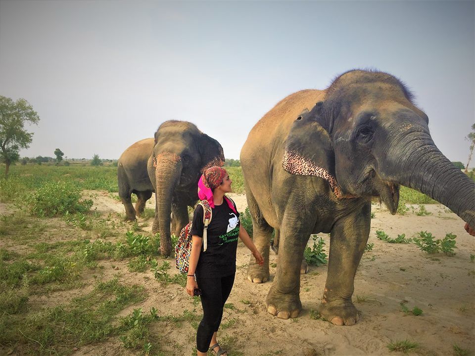Photo of The Experience of a Lifetime at the Wildlife SOS Elephant Conservation Center, Mathura 1/2 by Isha Kashyap