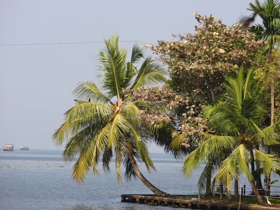 Photo of Alleppey Boathouse, Mud Road, Starting Point, Punnamada, Starting Point, Alappuzha, Kerala 688006, India by Rajsmita Chowdhury