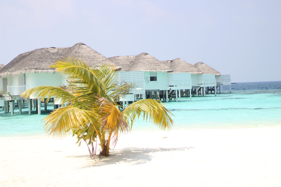 Photo of MALDIVES-An epitome of Love and scenic beauty by Rajsmita Chowdhury