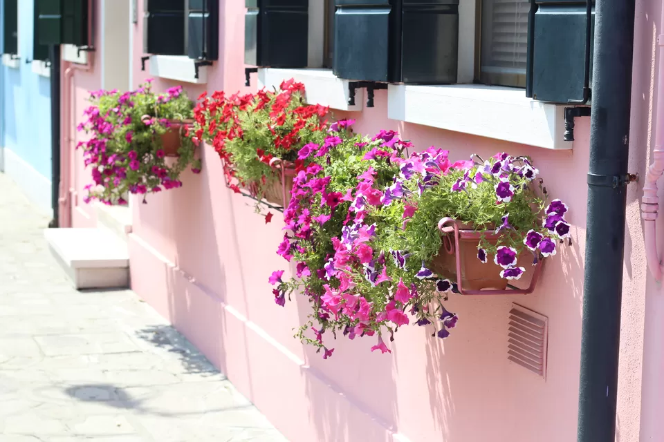 Photo of Burano, Venice, Metropolitan City of Venice, Italy by Rajsmita Chowdhury
