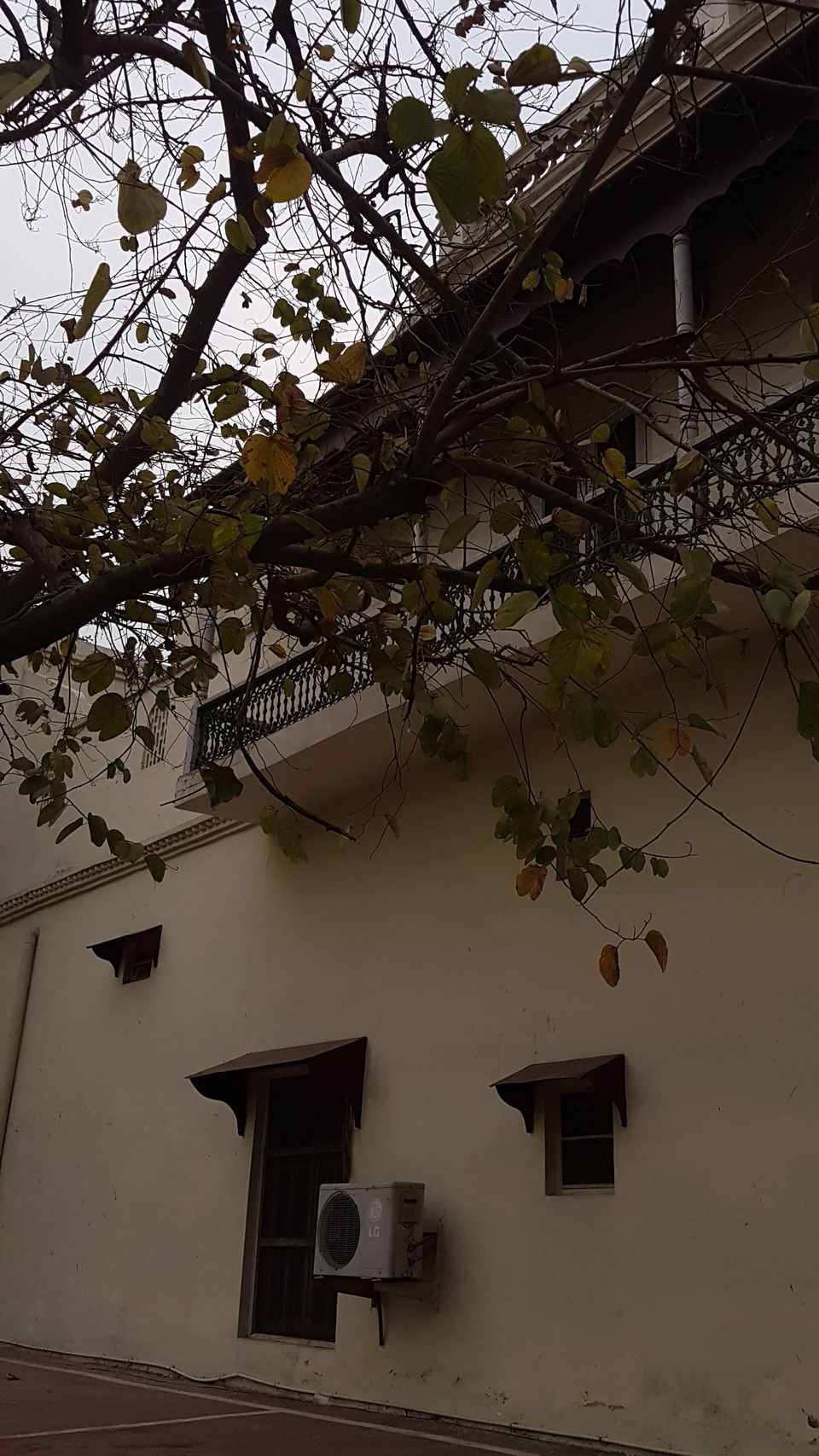 Photo of A hidden Palace by Anamika Singh