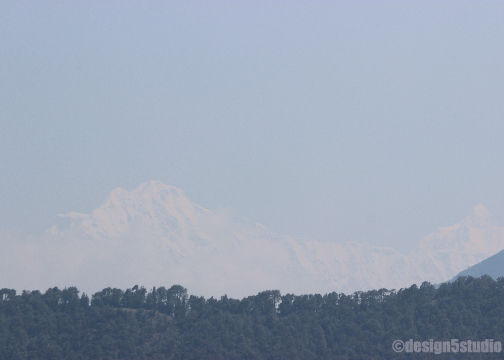 Photo of TRAVEL :: Magpie Jungle Camp, CHOPTA 2/18 by Molly