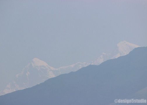Photo of TRAVEL :: Magpie Jungle Camp, CHOPTA 3/18 by Molly