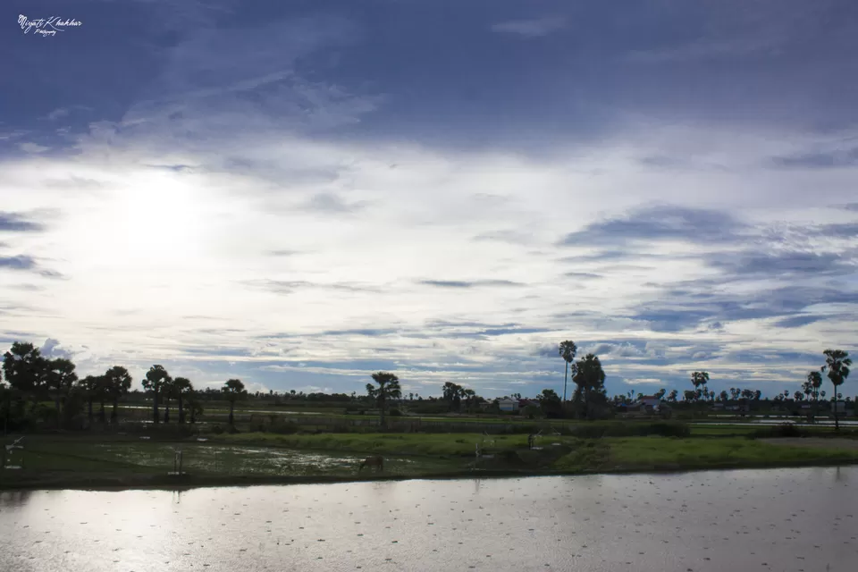Photo of Crocodile Farm, Siem Reap, Cambodia by Niyati Khakhar