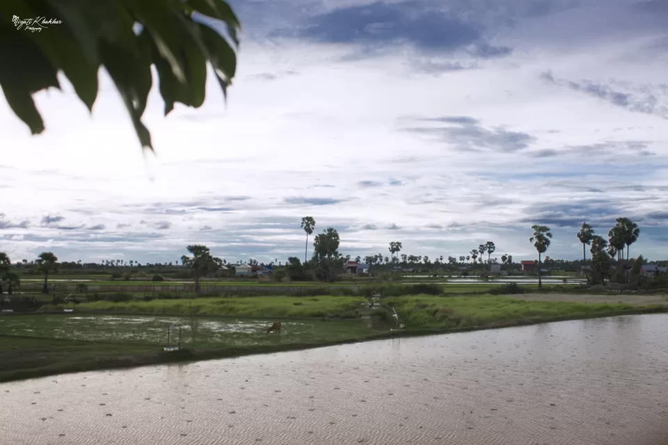 Photo of Crocodile Farm, Siem Reap, Cambodia by Niyati Khakhar