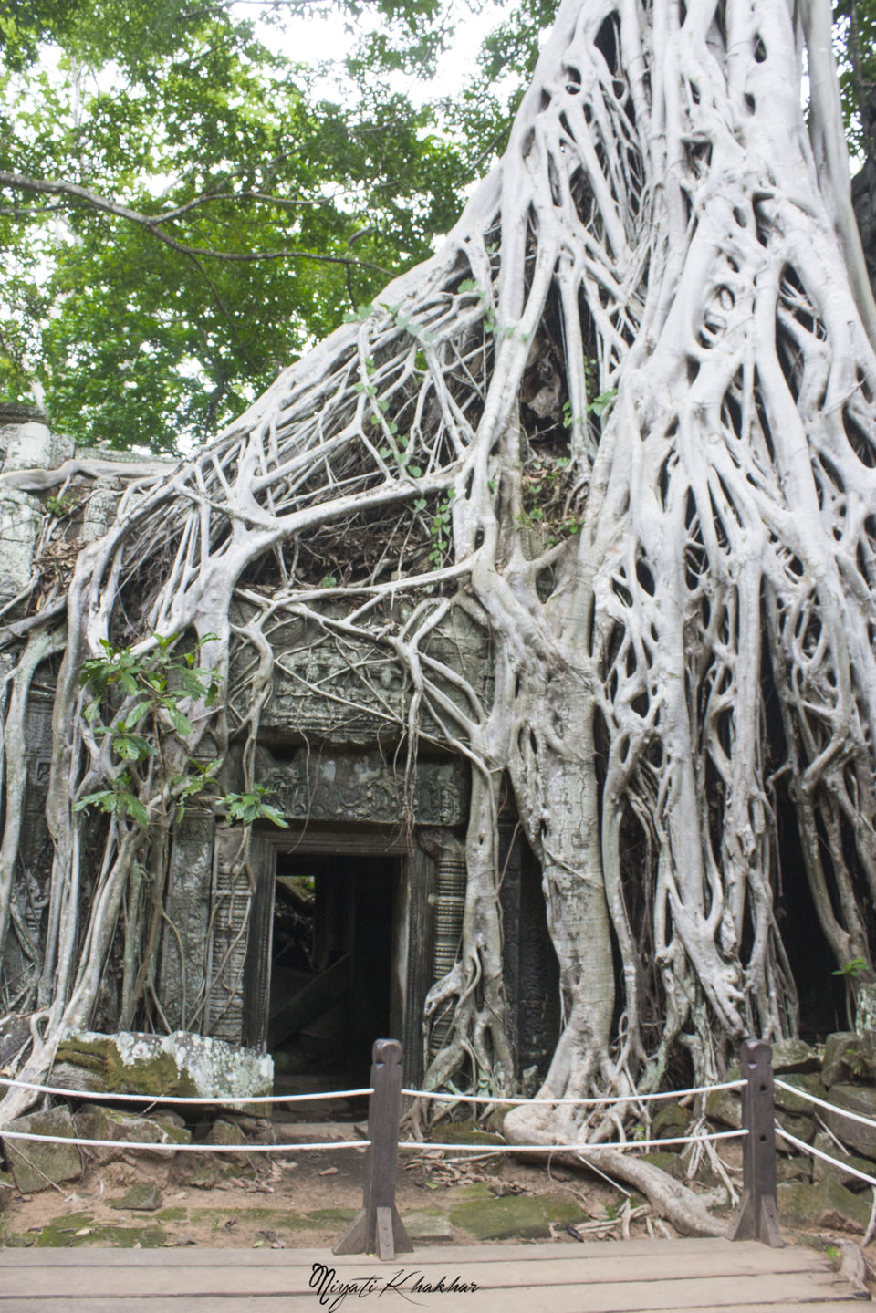 Photo of Ta Prohm, Krong Siem Reap, Siem Reap Province, Cambodia by Niyati Khakhar