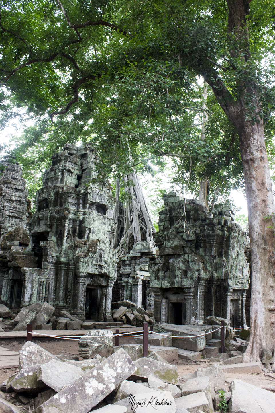 Photo of Ta Prohm, Krong Siem Reap, Siem Reap Province, Cambodia by Niyati Khakhar