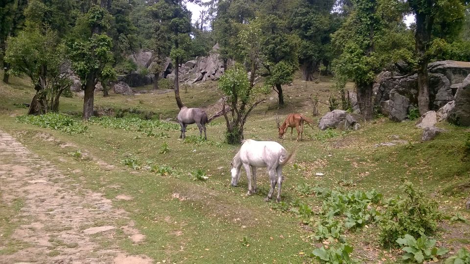 Photo of Getaway Trip by happy tramper 4/8 by Rajat Kapoor