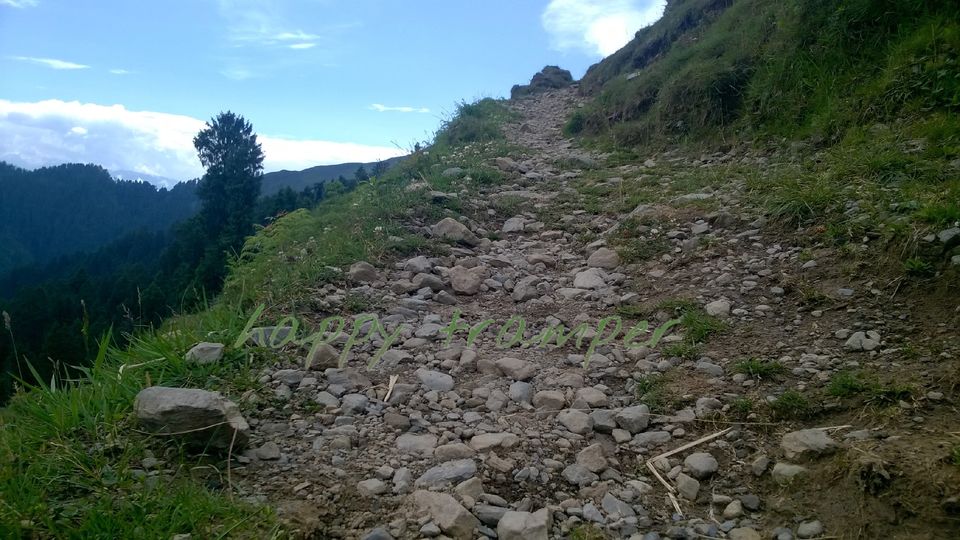 Photo of Prashar Lake trek by happy tramper 8/9 by Rajat Kapoor