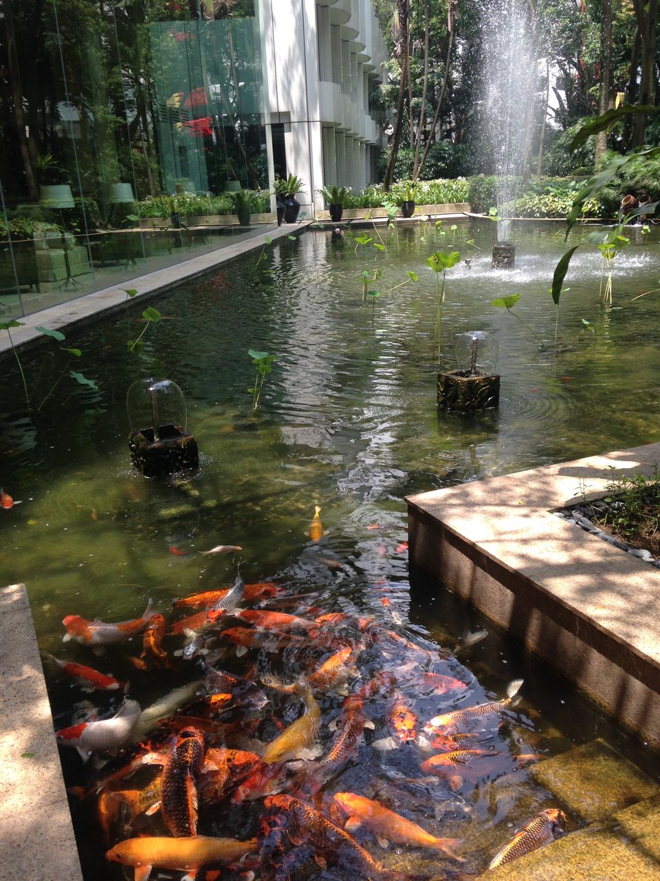 Photo of Kuala Lumpur, Malaysia 2015 by GoTravel