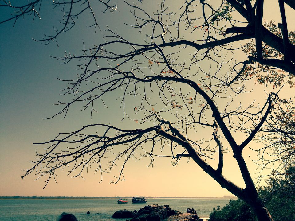 Photo of From Madagascar with Love: Malpe's Island Quartet 1/1 by Mark Lancy Sebastian