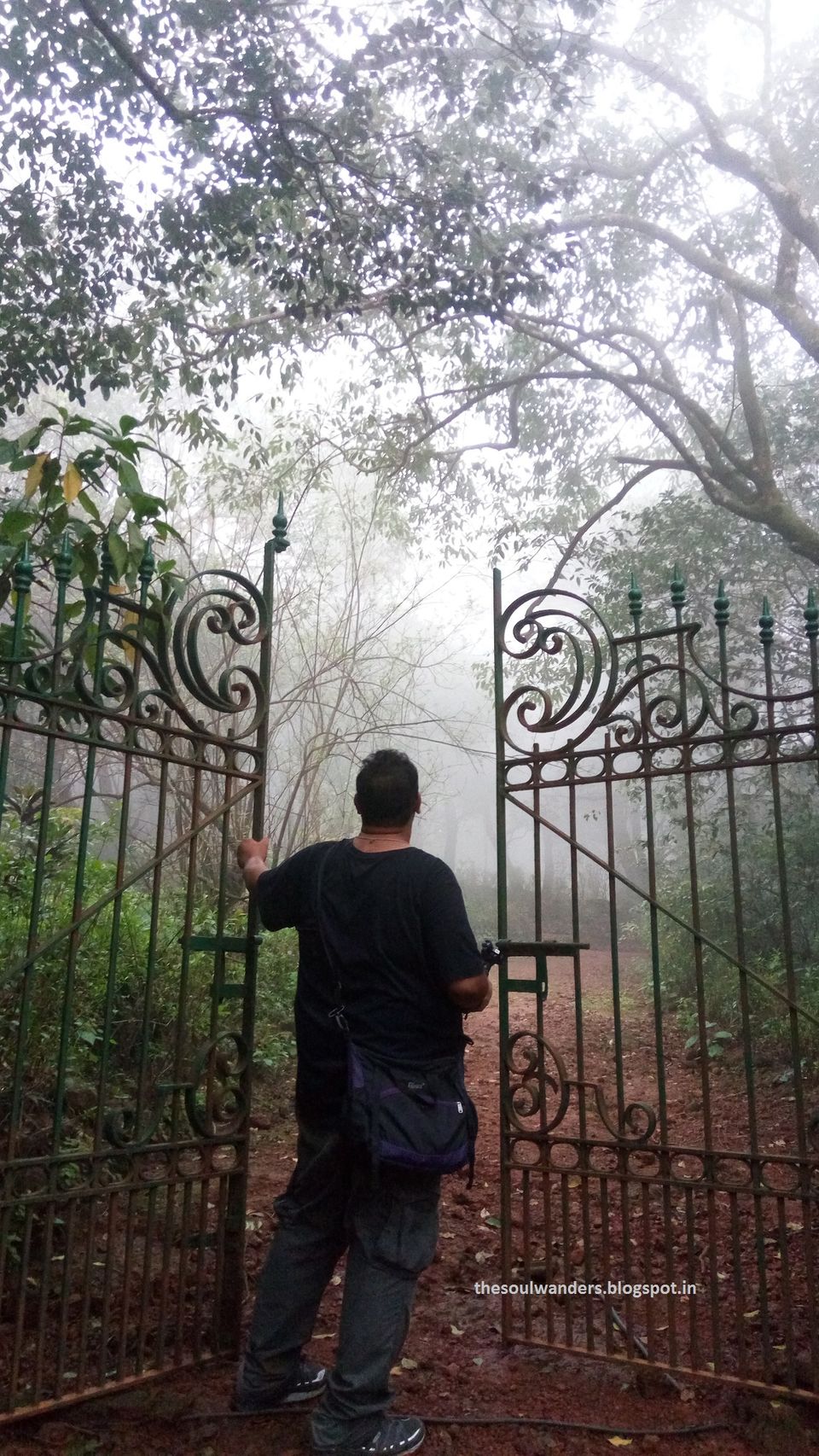 Photo of The Verandah in the Forest by Mayuri R