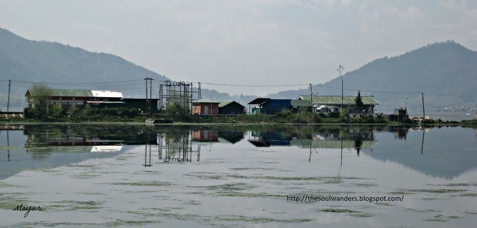 Photo of How I fell in Love with Kashmir 1/4 by Mayuri R