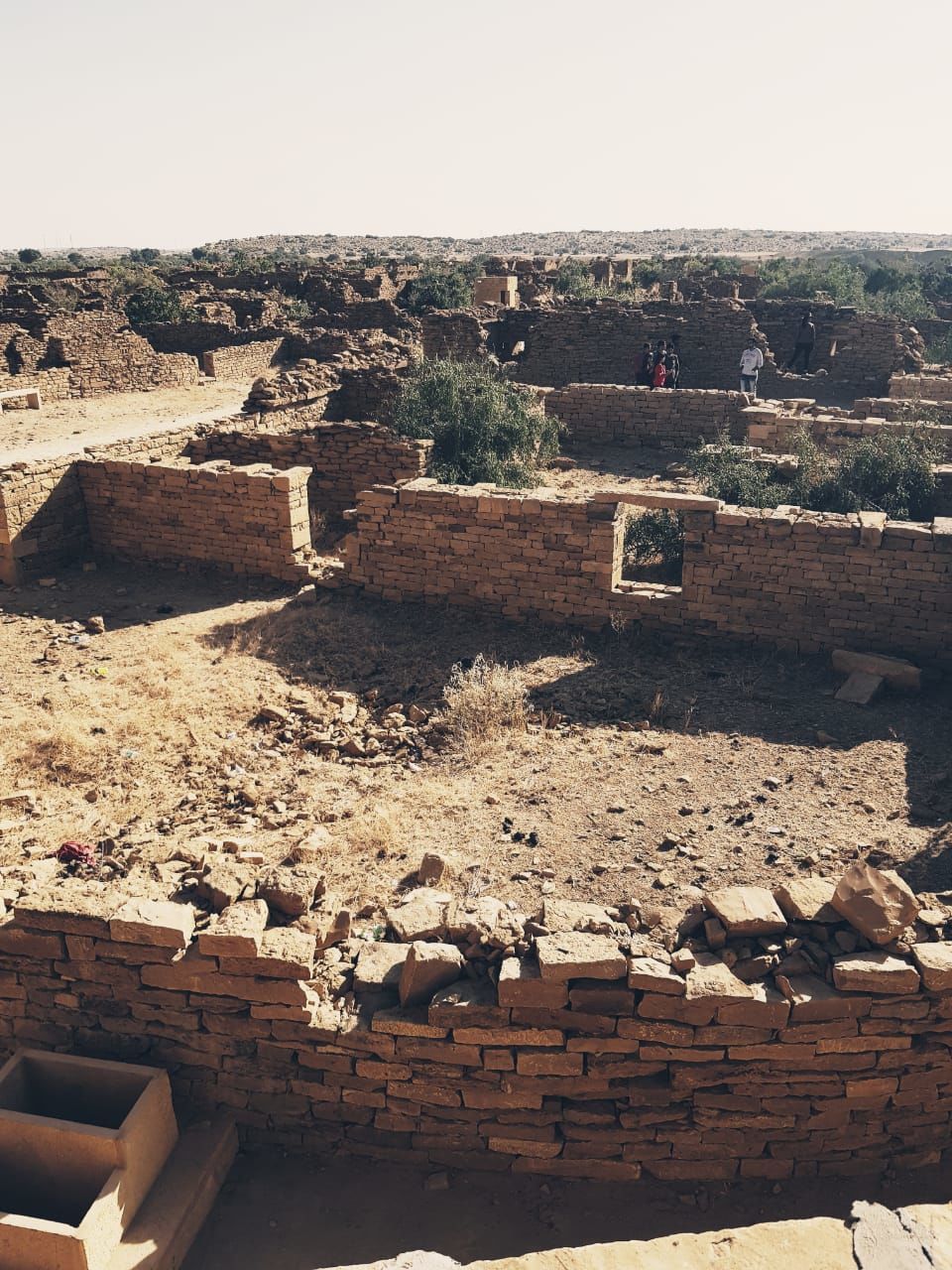 Photo of Sunny days and Chilly Nights - "The Golden City" #rajasthaninphotos by Anuja Pandey