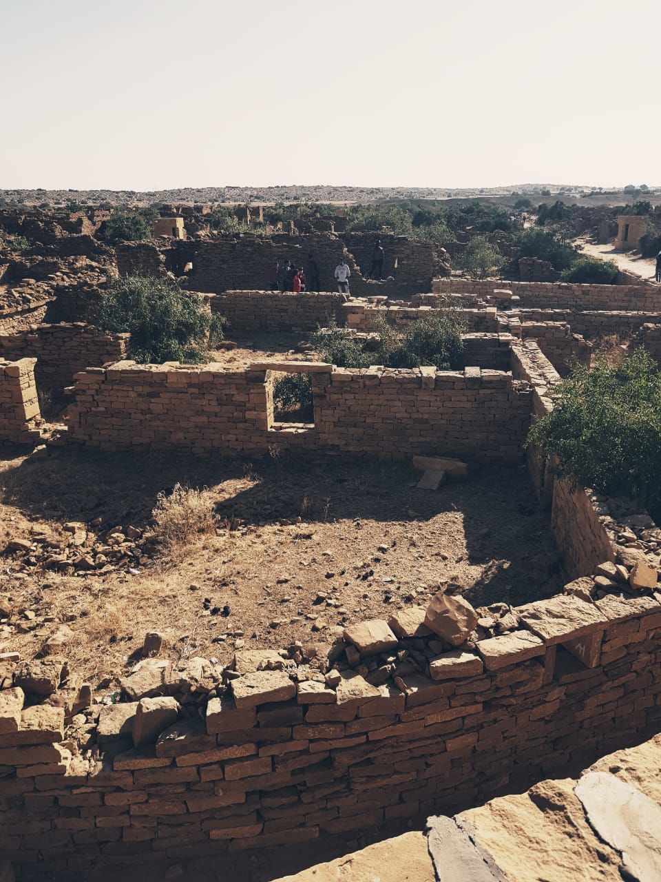 Photo of Sunny days and Chilly Nights - "The Golden City" #rajasthaninphotos by Anuja Pandey