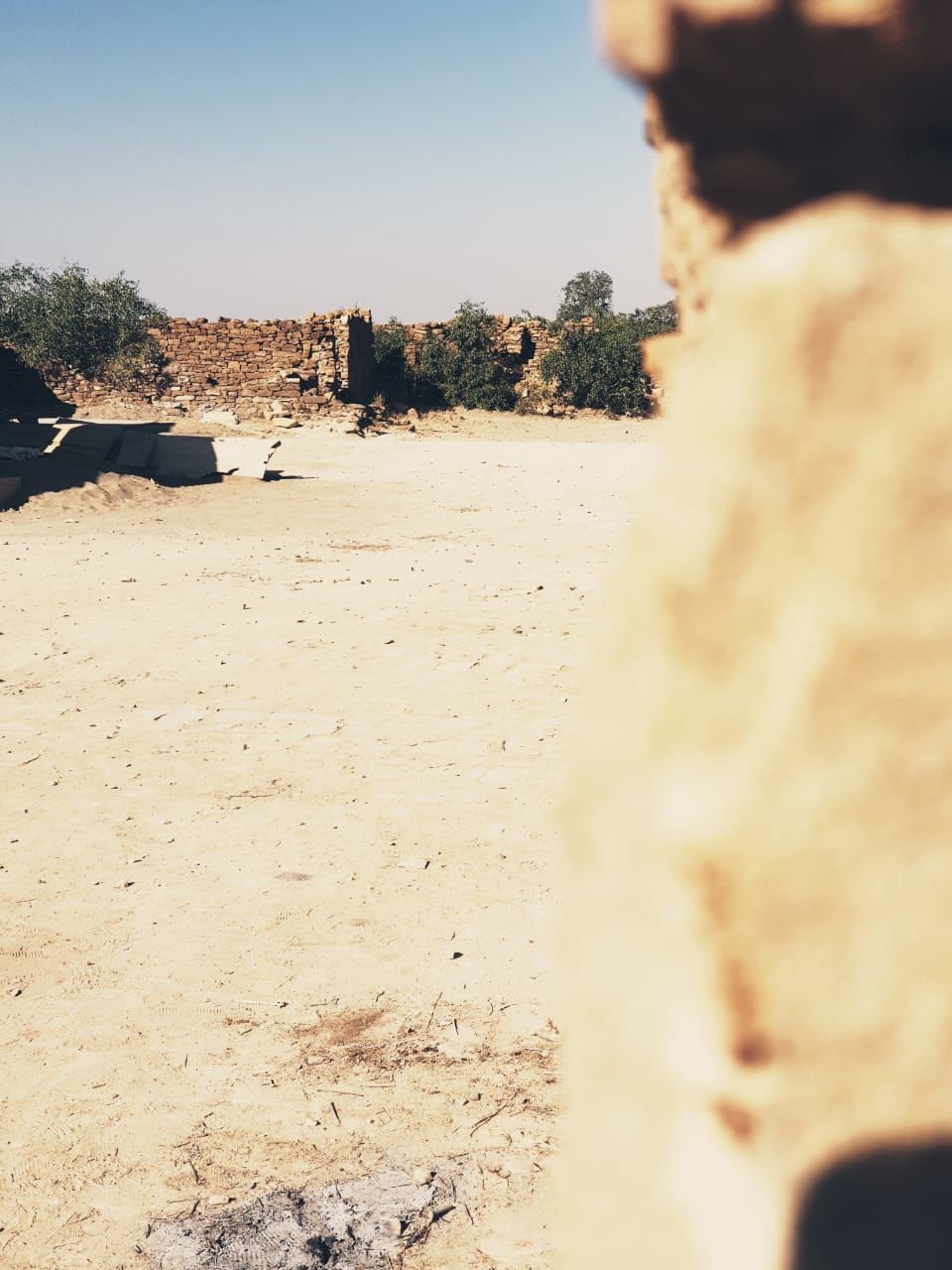Photo of Sunny days and Chilly Nights - "The Golden City" #rajasthaninphotos by Anuja Pandey