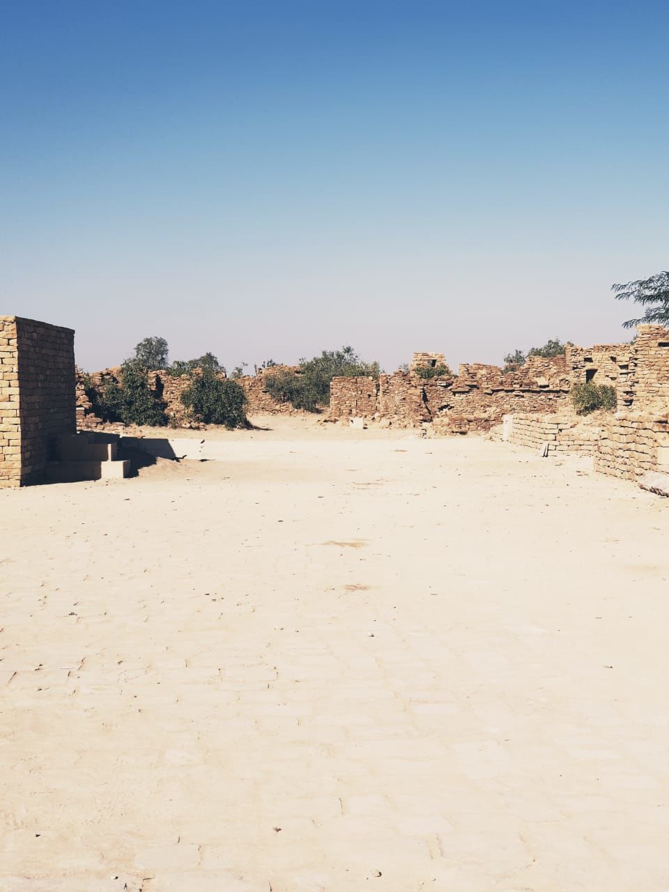 Photo of Sunny days and Chilly Nights - "The Golden City" #rajasthaninphotos by Anuja Pandey