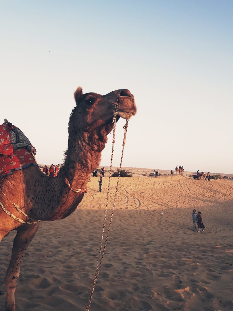 Photo of Jaisalmer Desert Camp, Sam road, Jaisalmer, Rajasthan, India by Anuja Pandey