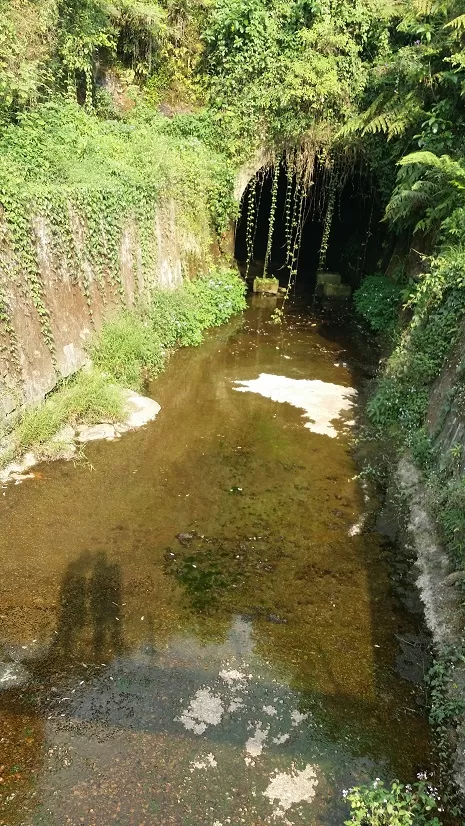 Photo of The tunnel End by isha