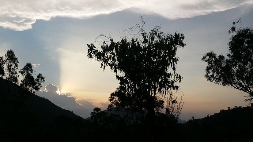 Photo of VALPARAI- Paradise of Tamil Nadu 8/23 by isha