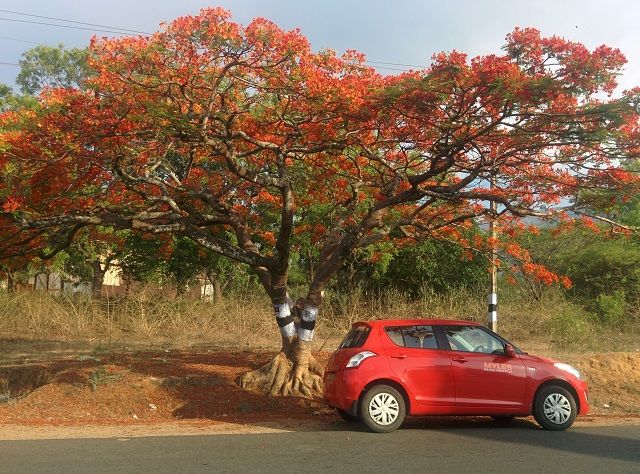 Photo of VALPARAI- Paradise of Tamil Nadu 15/23 by isha