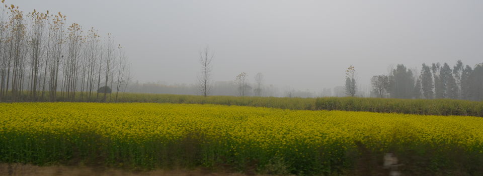 Photo of Haridwar/Rishikesh by GeetanjaaliGeets