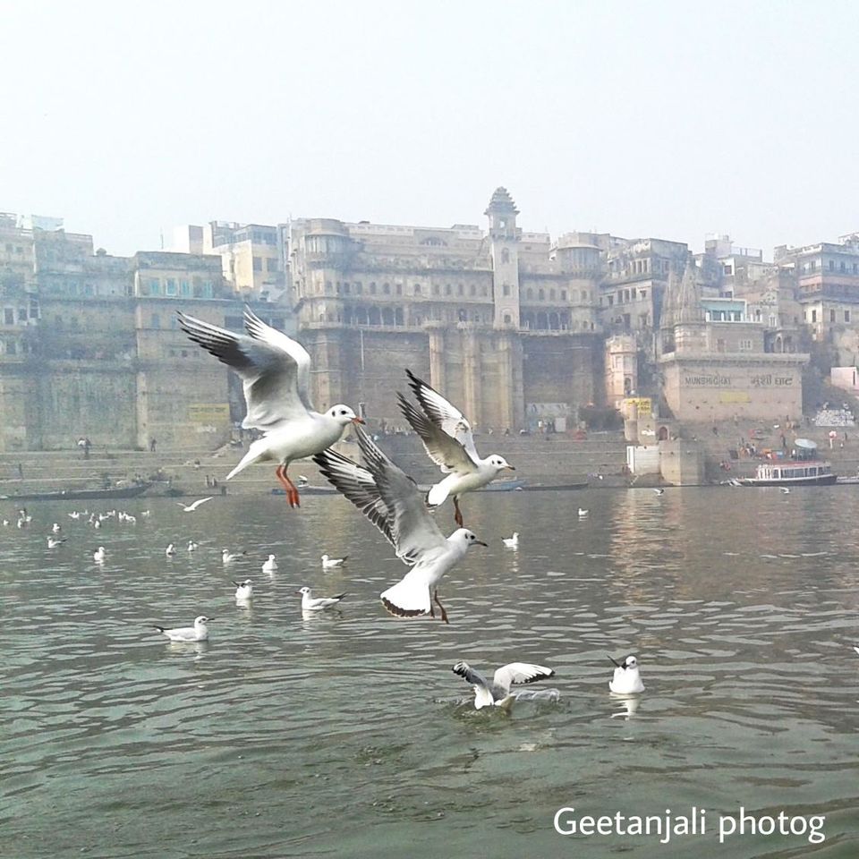 Photo of Varanasi Diary, 2016 by Geetanjali Raza