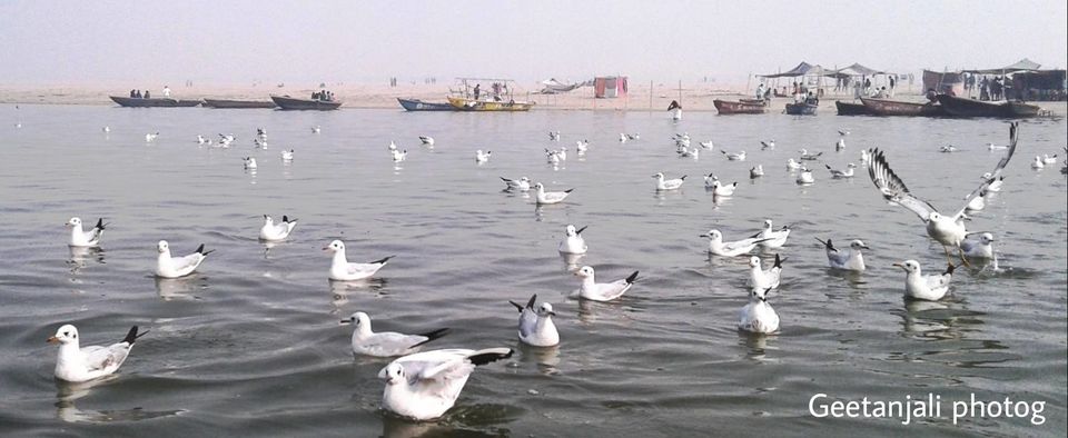 Photo of Varanasi Diary, 2016 by Geetanjali Raza