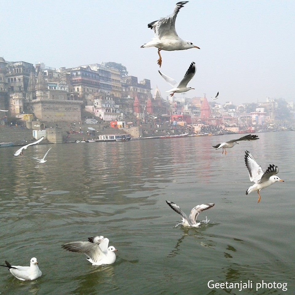 Photo of Varanasi Diary, 2016 by Geetanjali Raza
