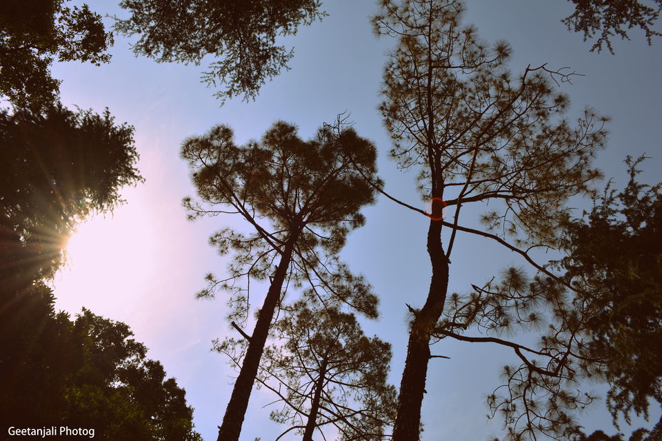 Photo of McLeod Ganj - combination of adventure and peace. by Geetanjali Raza