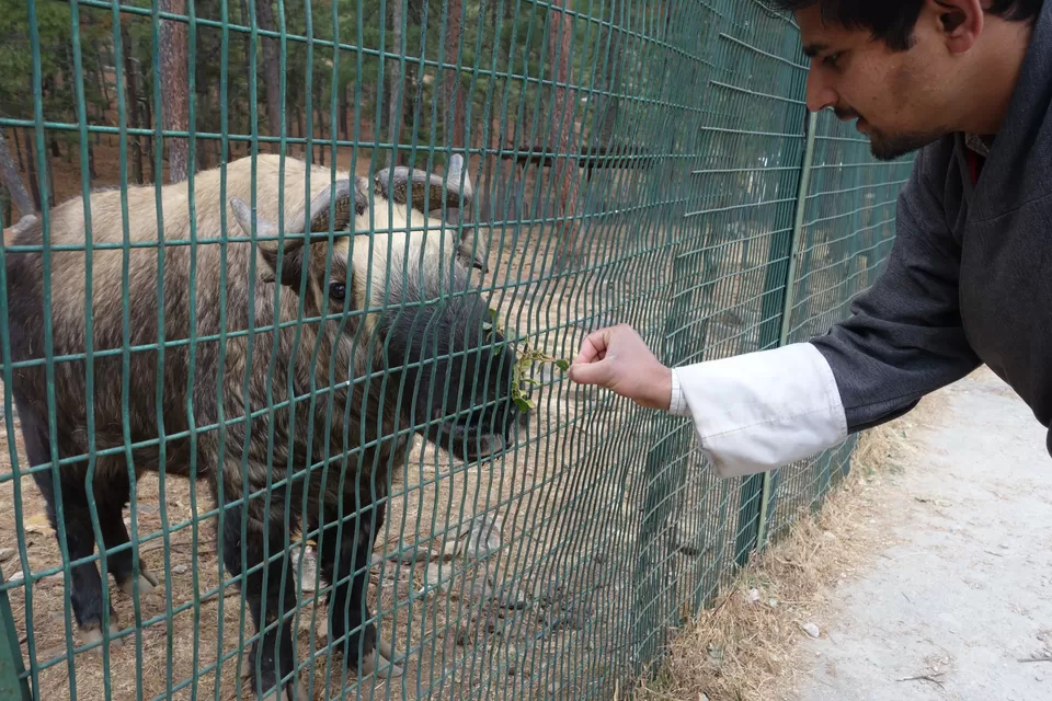 Photo of Thimphu, Bhutan by Hameed Fazal