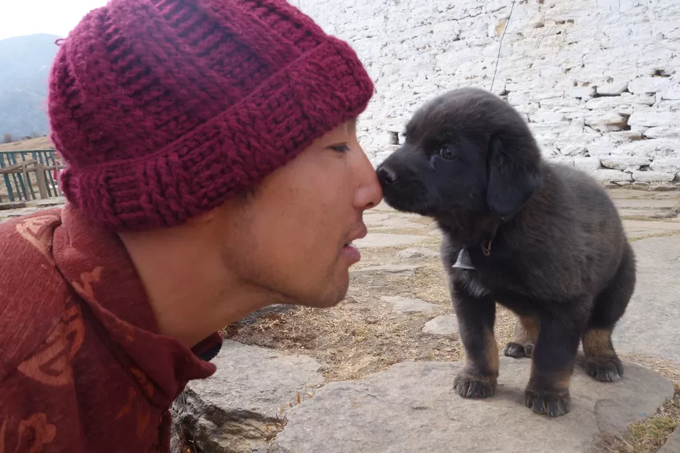 Photo of Phajodhing, Paro, Bhutan by Hameed Fazal