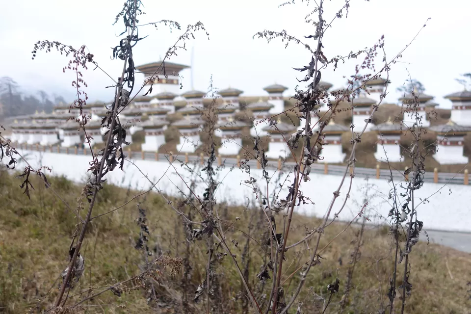 Photo of Dochula, Thimphu, Bhutan by Hameed Fazal