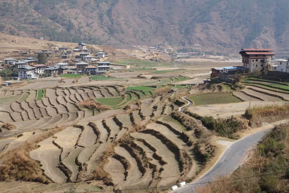 Photo of Punakha, Bhutan by Hameed Fazal