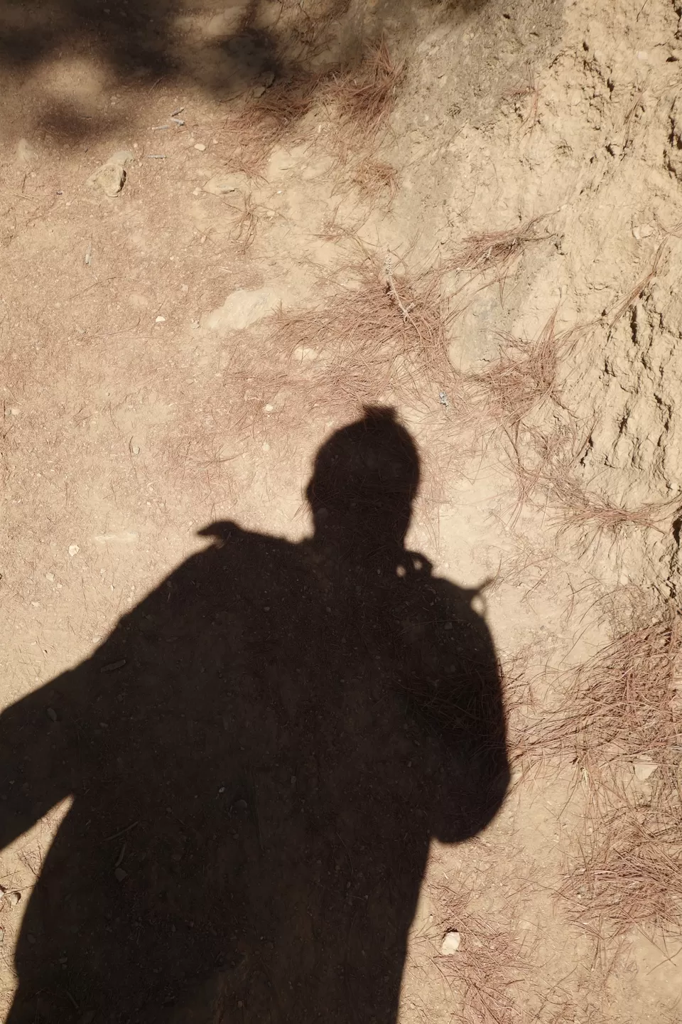 Photo of Tiger's Lair Temple, Paro, Bhutan by Hameed Fazal