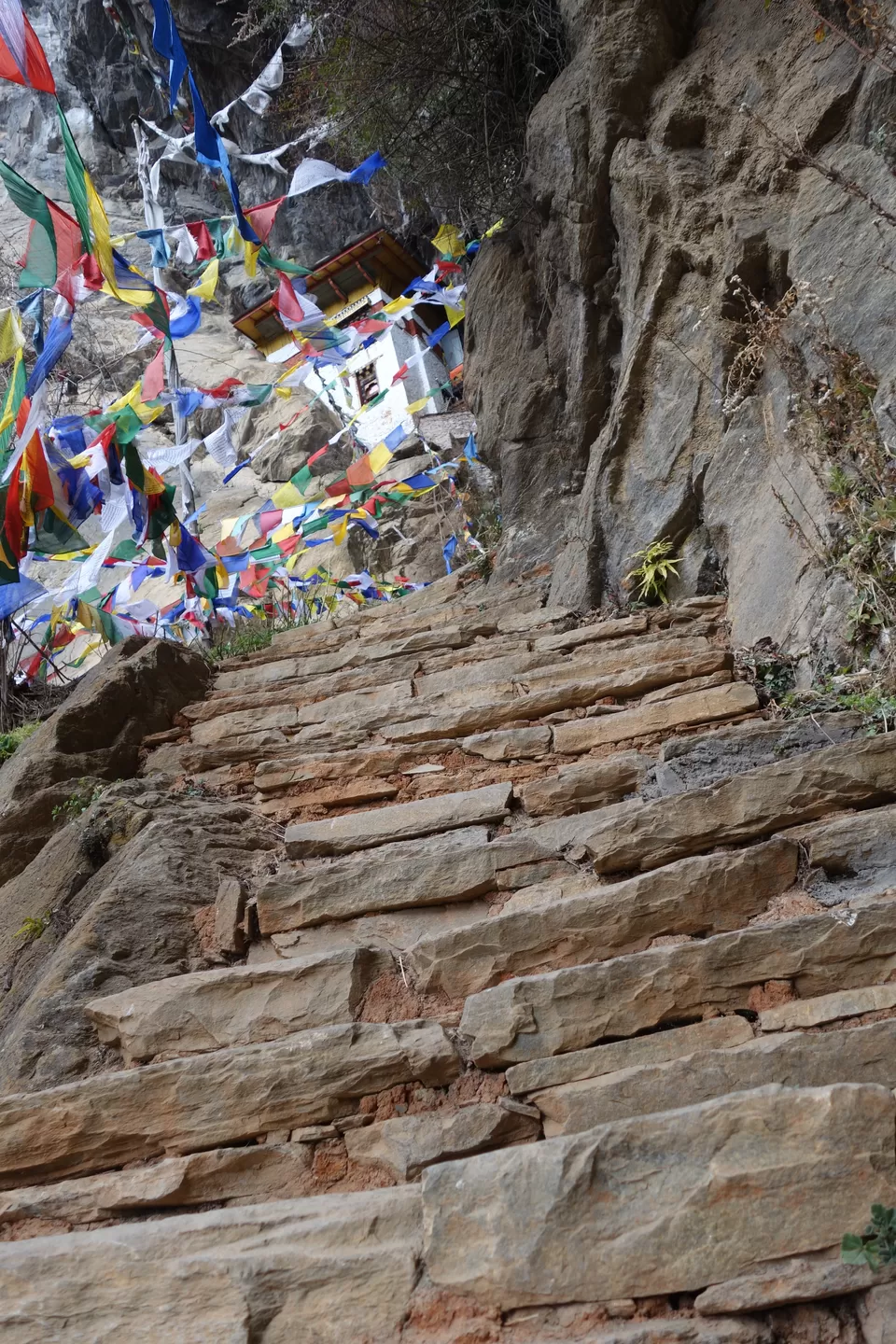 Photo of Tiger's Lair Temple, Paro, Bhutan by Hameed Fazal