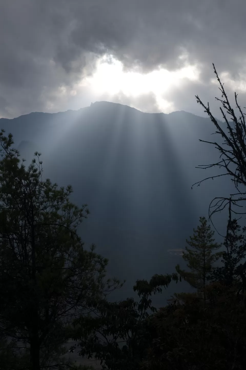 Photo of Tiger's Lair Temple, Paro, Bhutan by Hameed Fazal